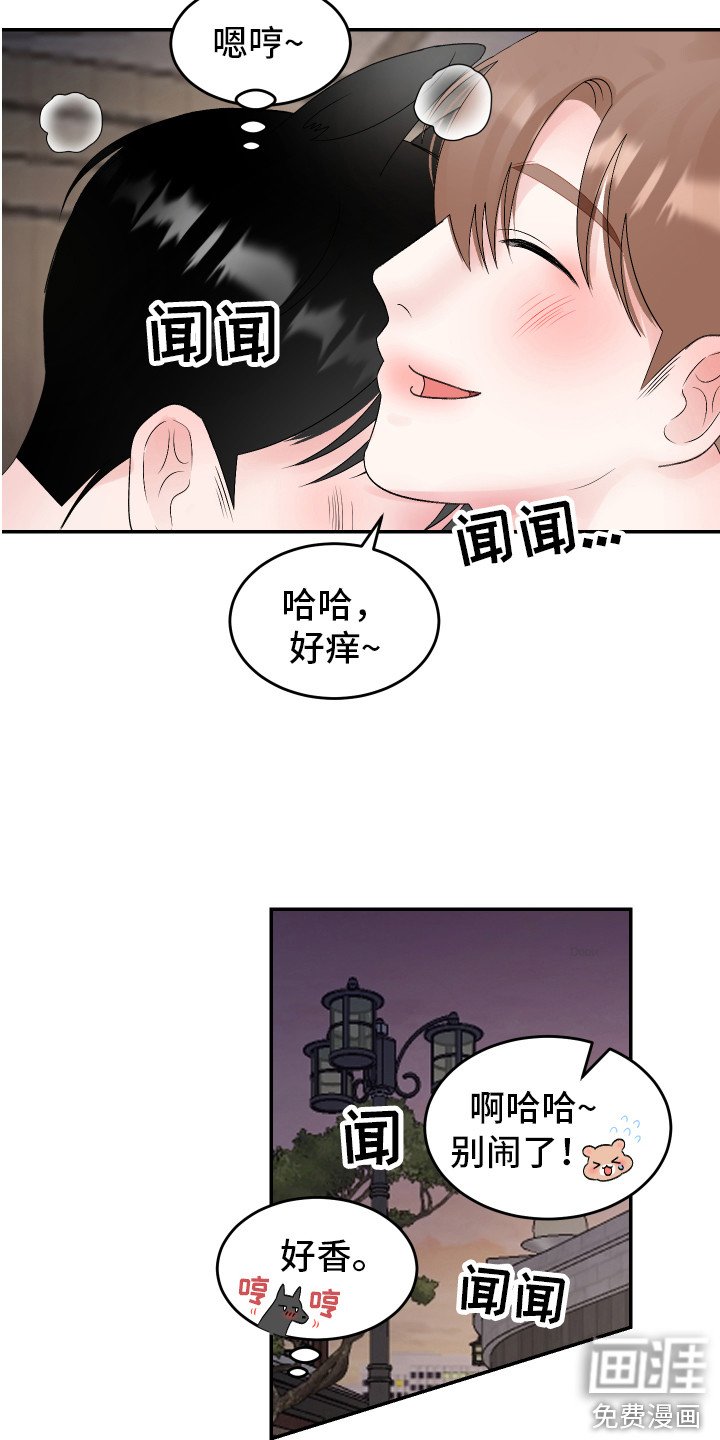 第20章：交往 