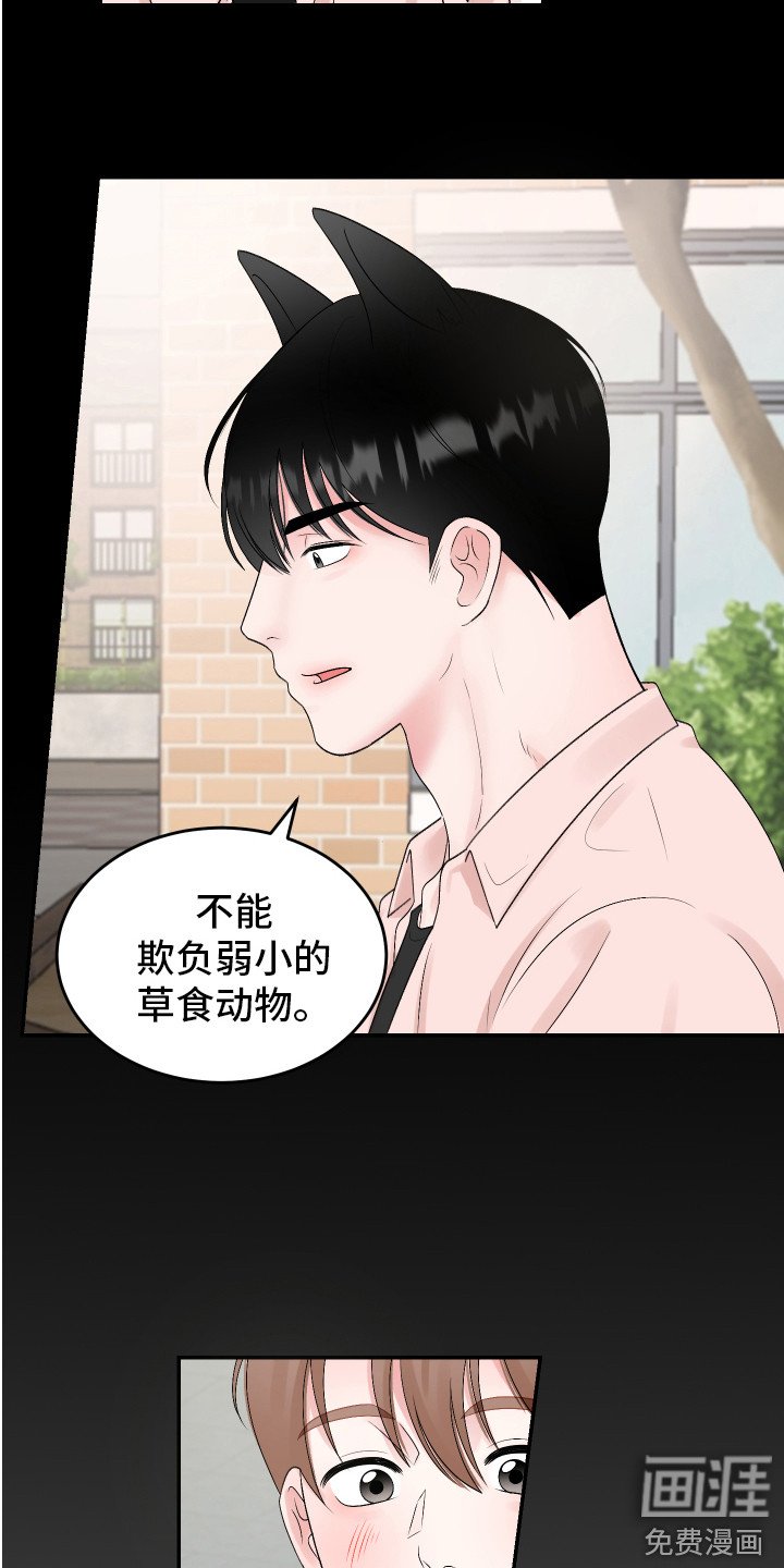 第21章：我的猛兽（完结）
