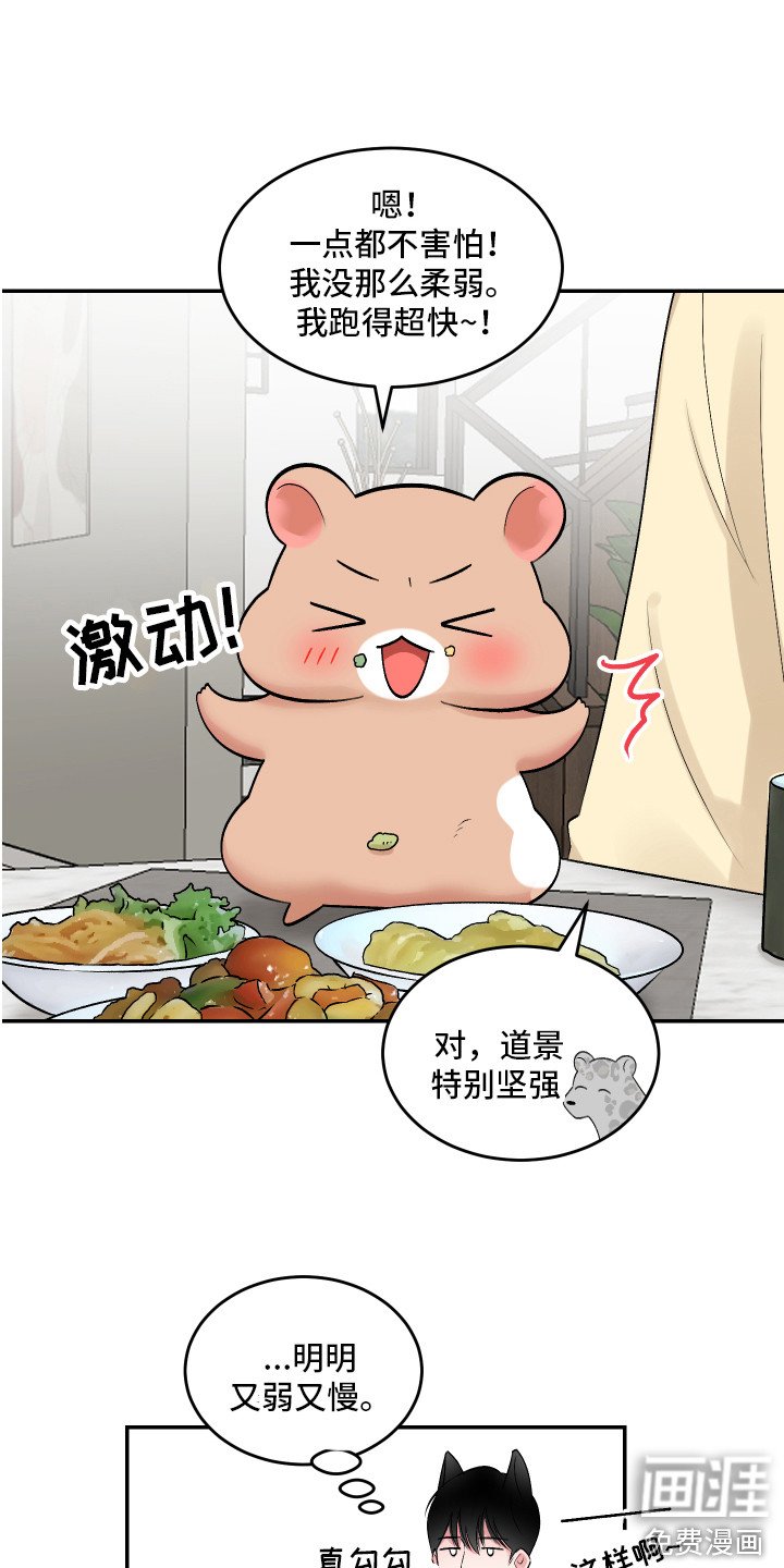 第8章：很可爱