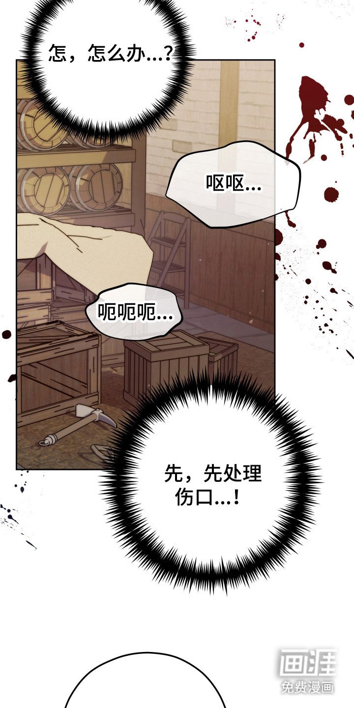 第2章：处理伤口