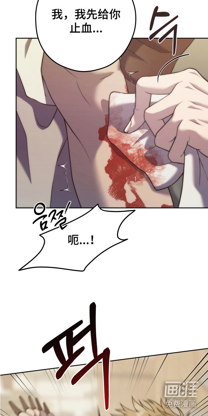 第2章：处理伤口