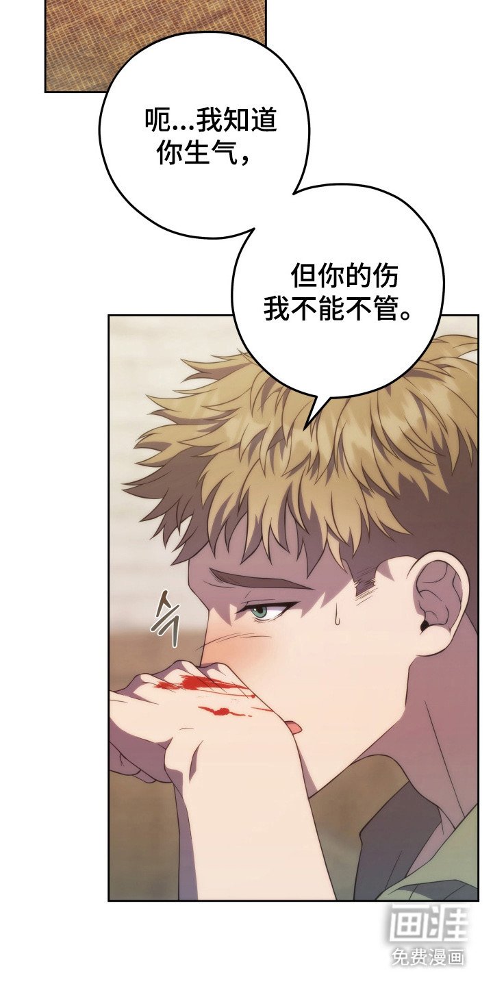 第2章：处理伤口
