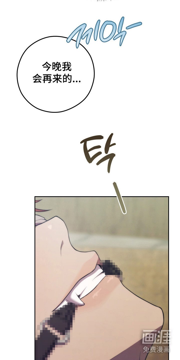 第5章：真相
