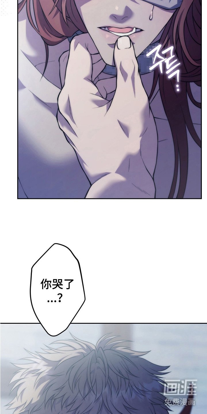 第6章：迷茫