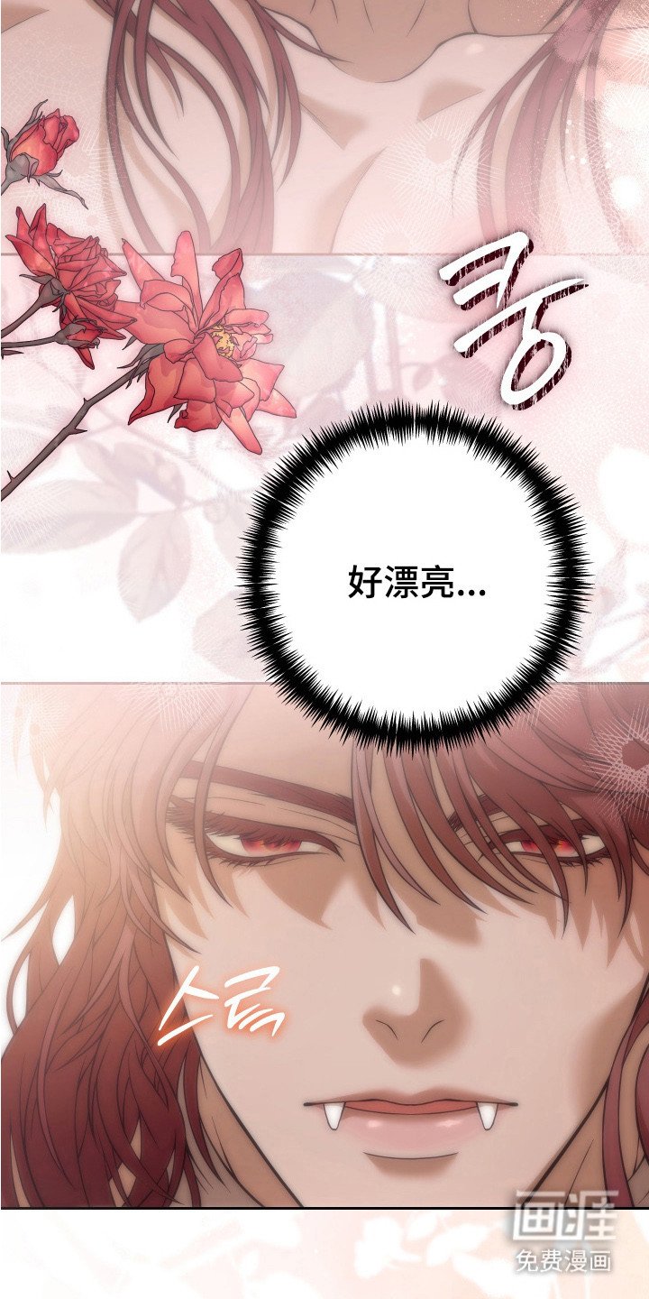 第6章：迷茫
