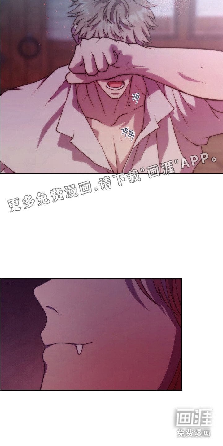 第8章：相信你