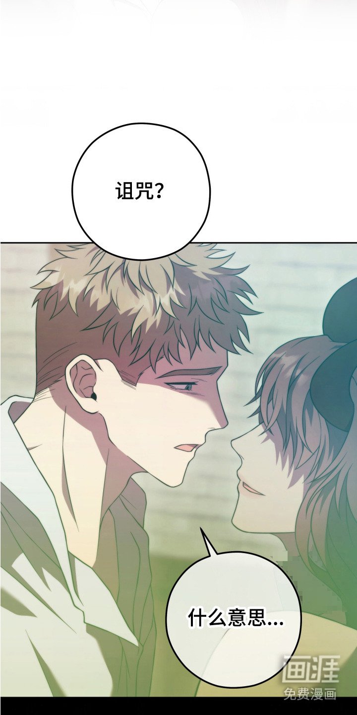 第9章：没有诅咒