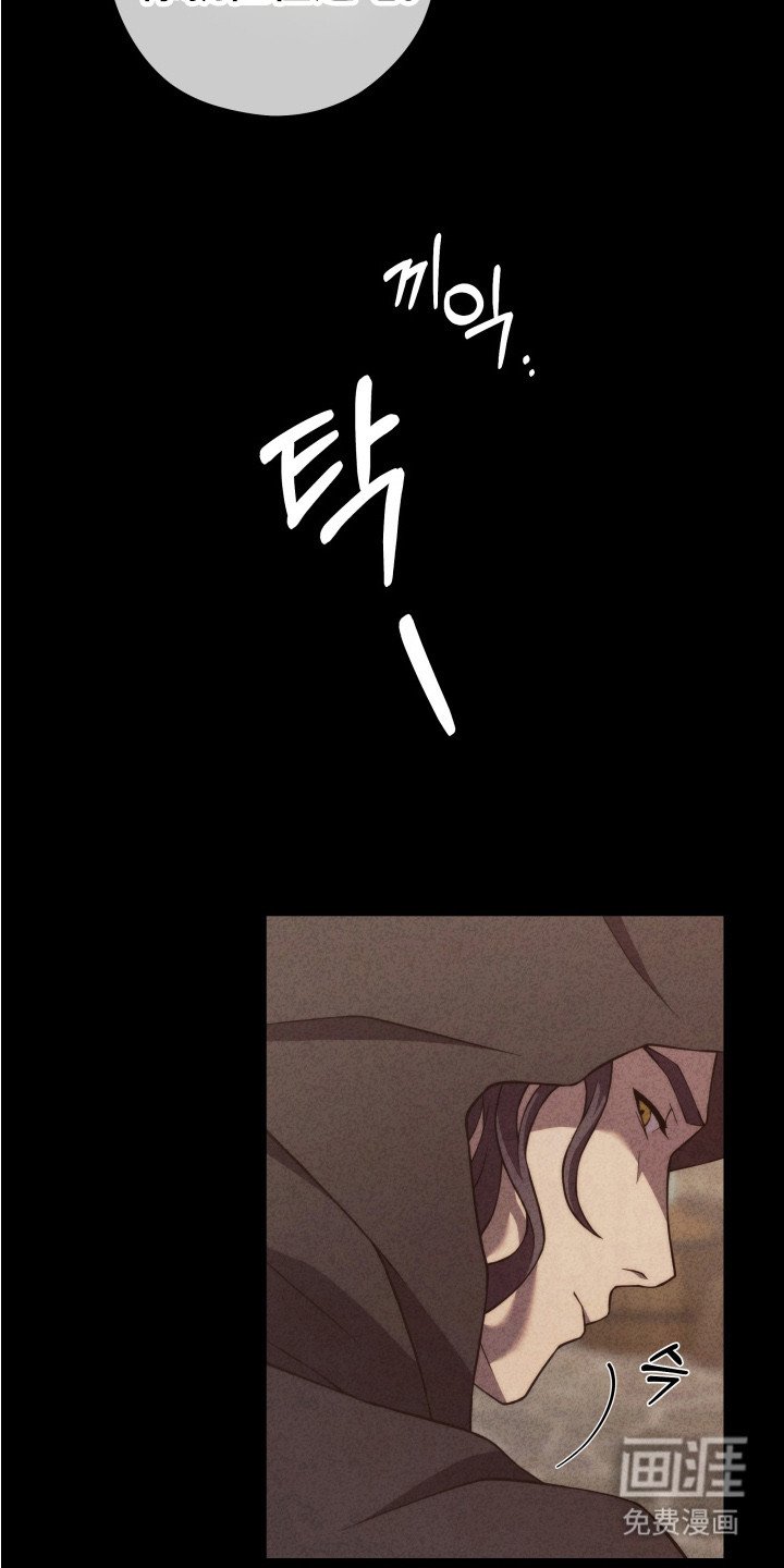 第9章：没有诅咒