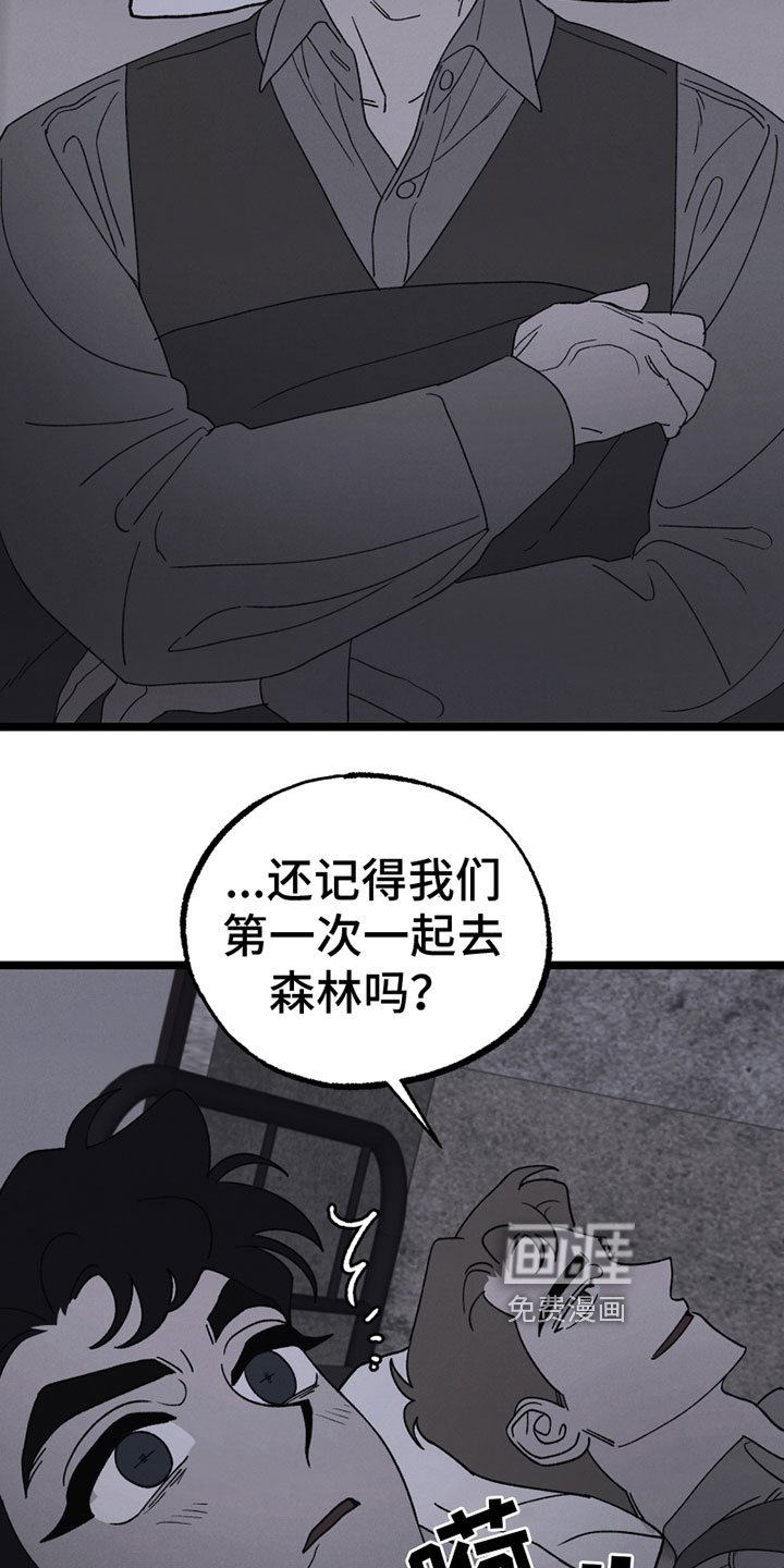 第17章：胡思乱想