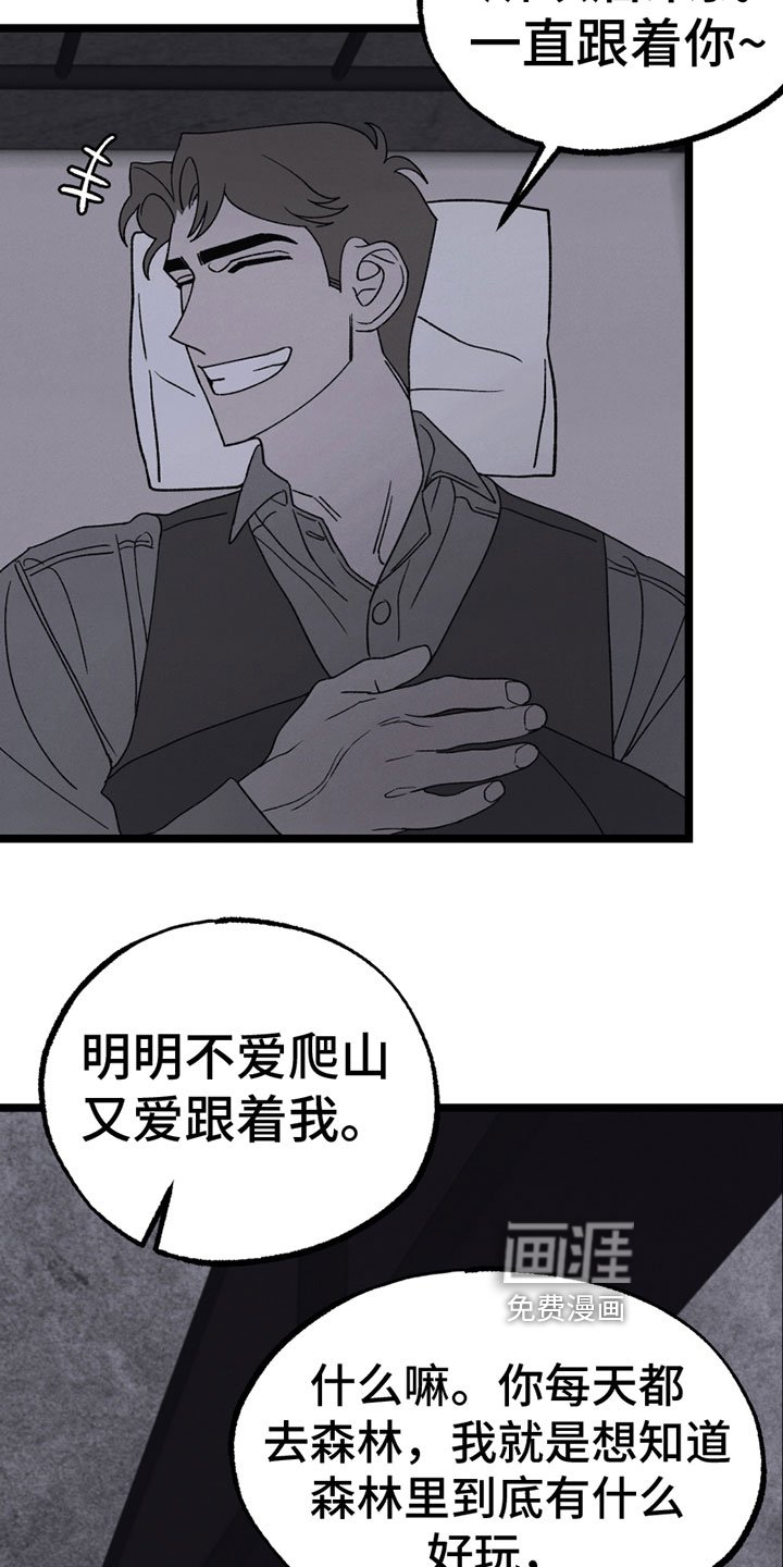 第17章：胡思乱想