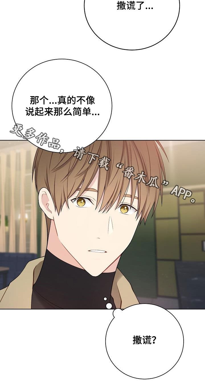 第28章：撒谎