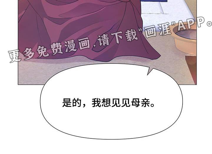 第113章：见见母亲