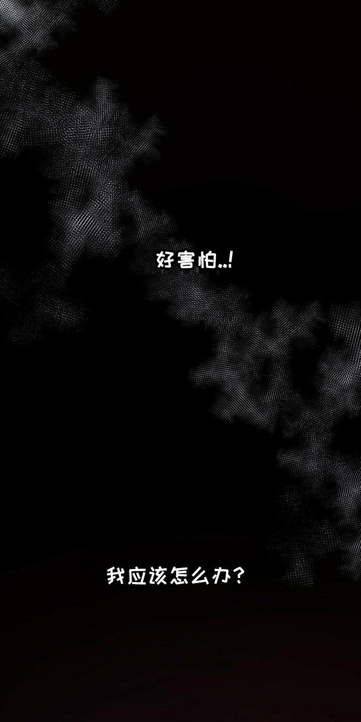 第17章：喜极而泣