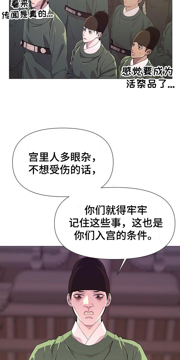 第3章：撒谎