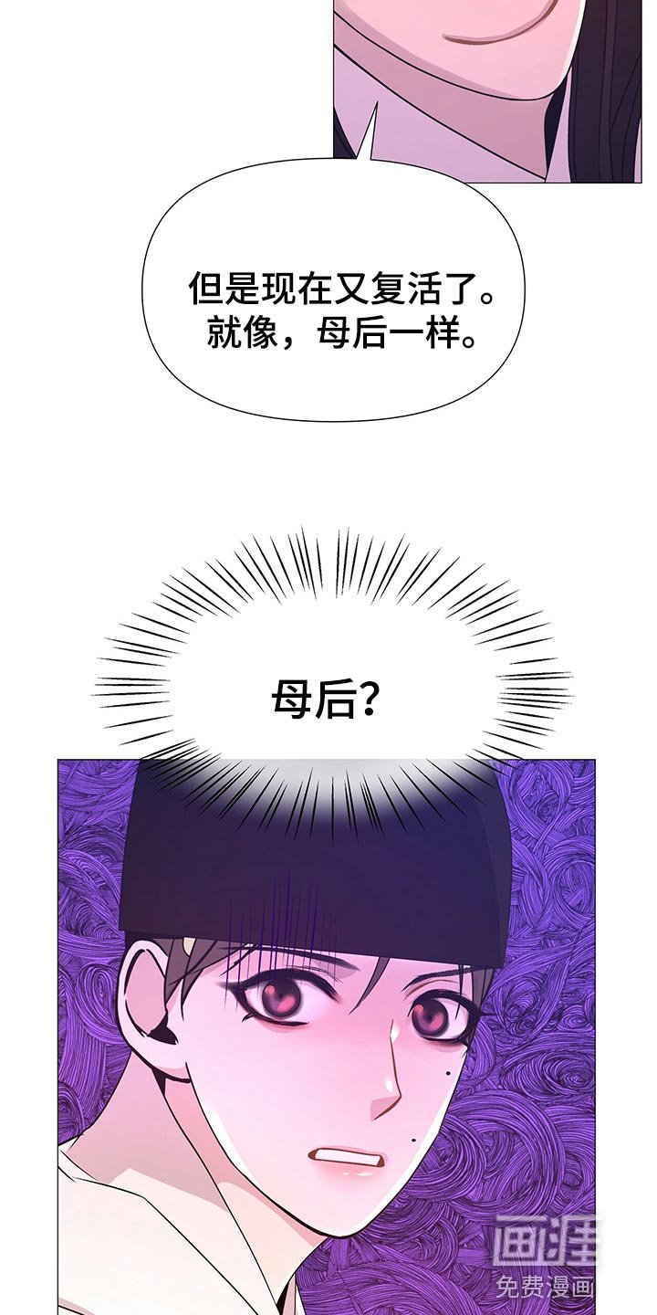 第42章：都是我的错觉