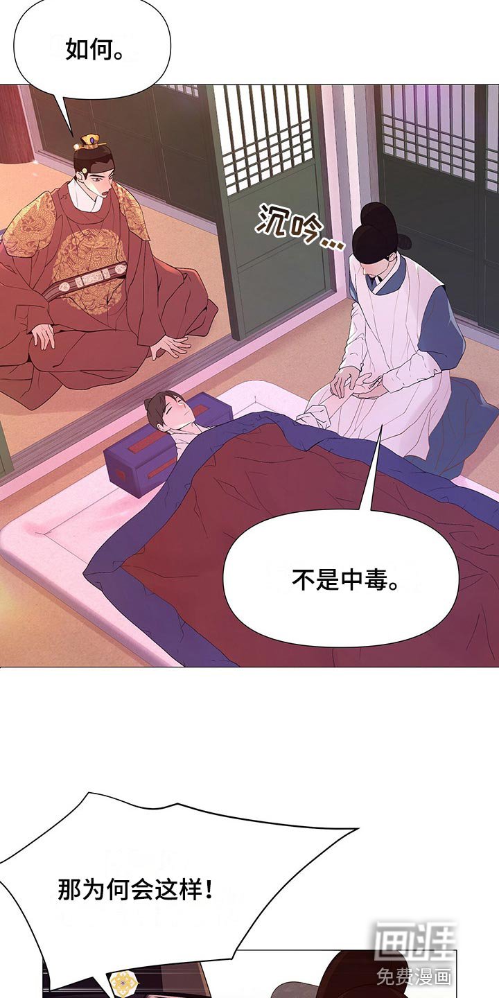 第46章：代替
