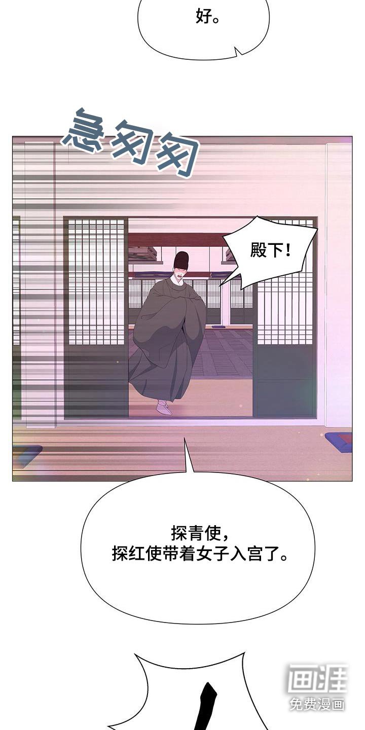 第97章：看一看