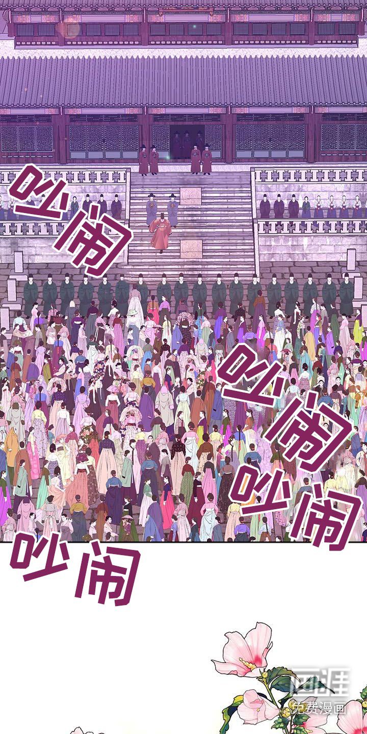第97章：看一看