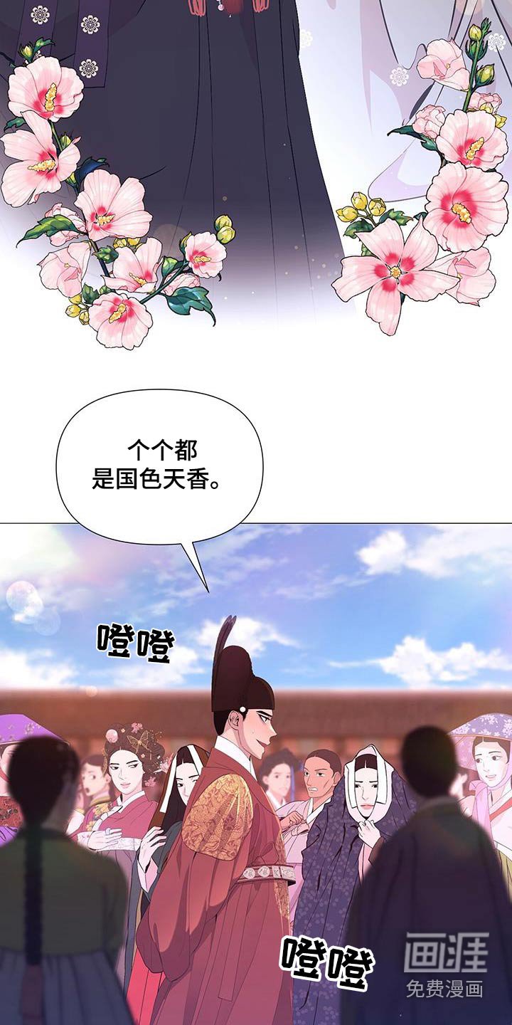 第97章：看一看