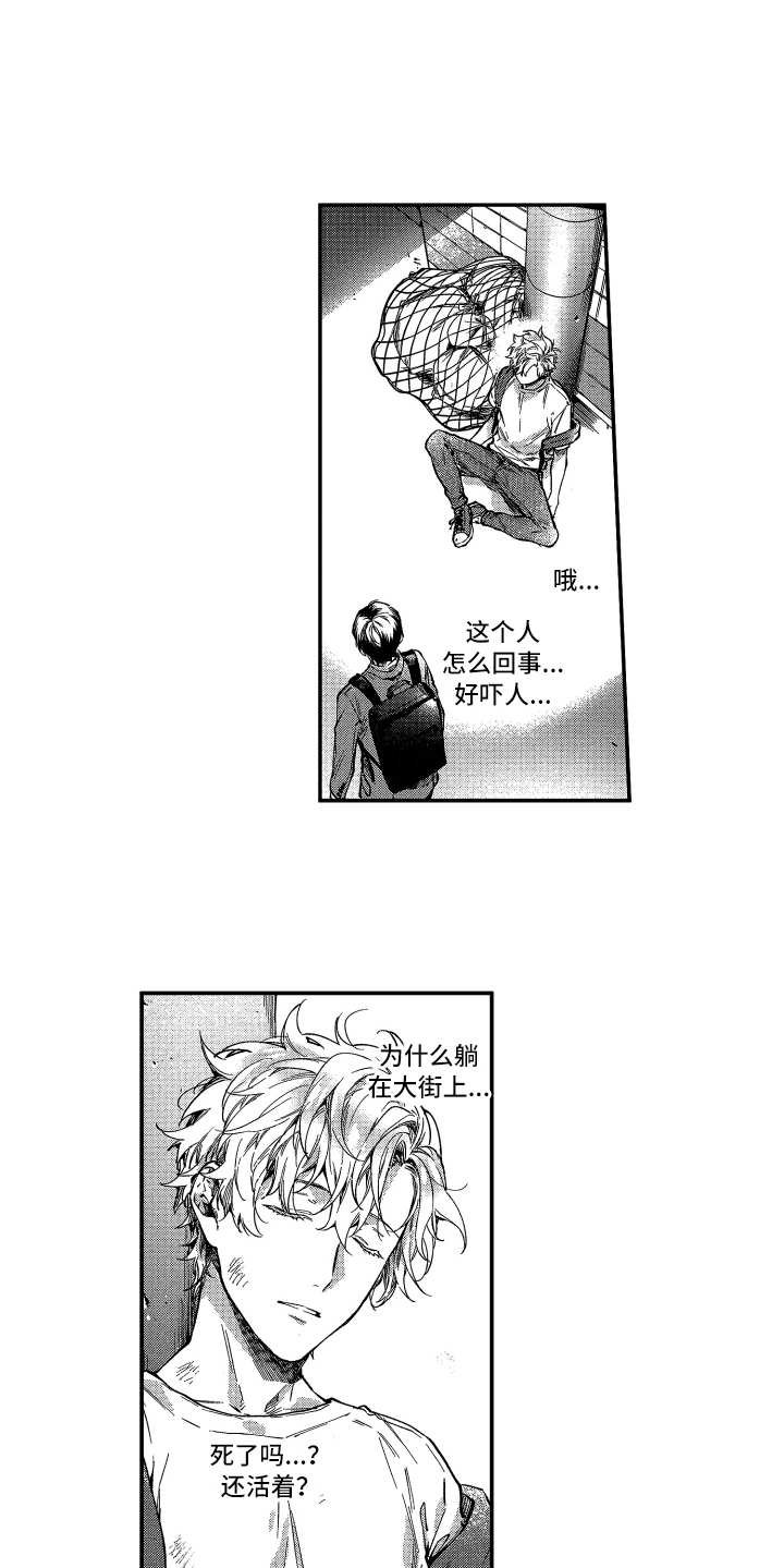 第1章：很酷