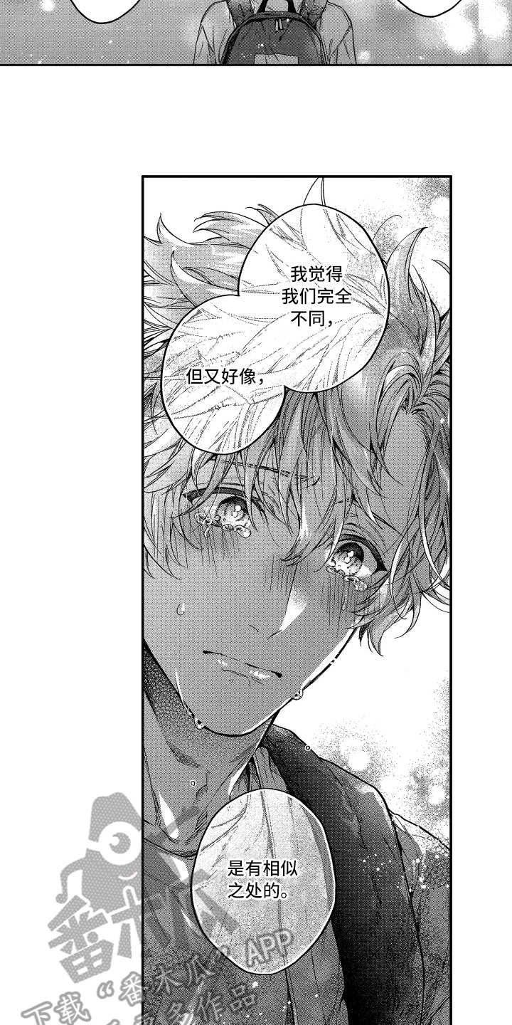 第17章：相似之处