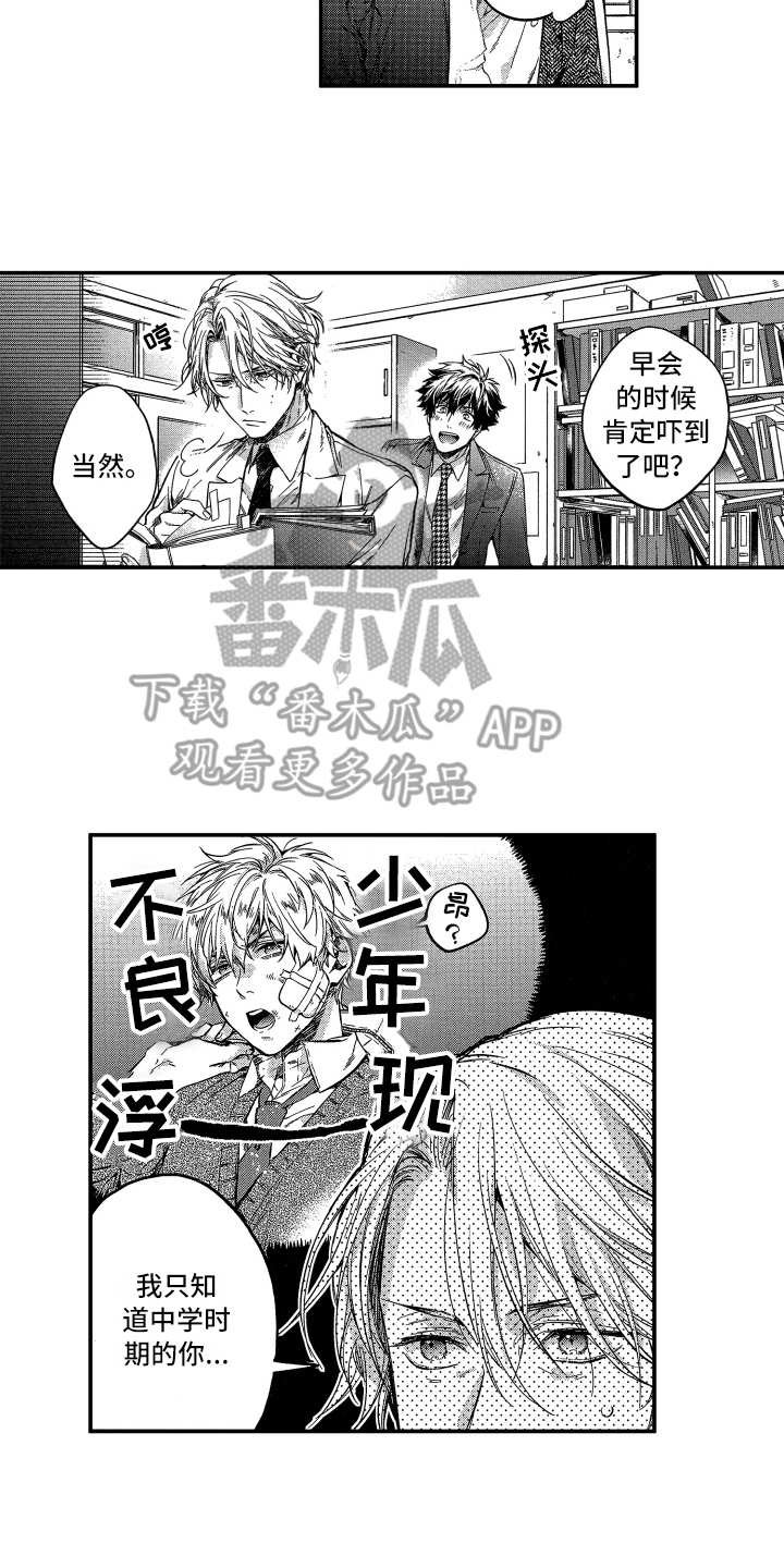 第19章：指导老师