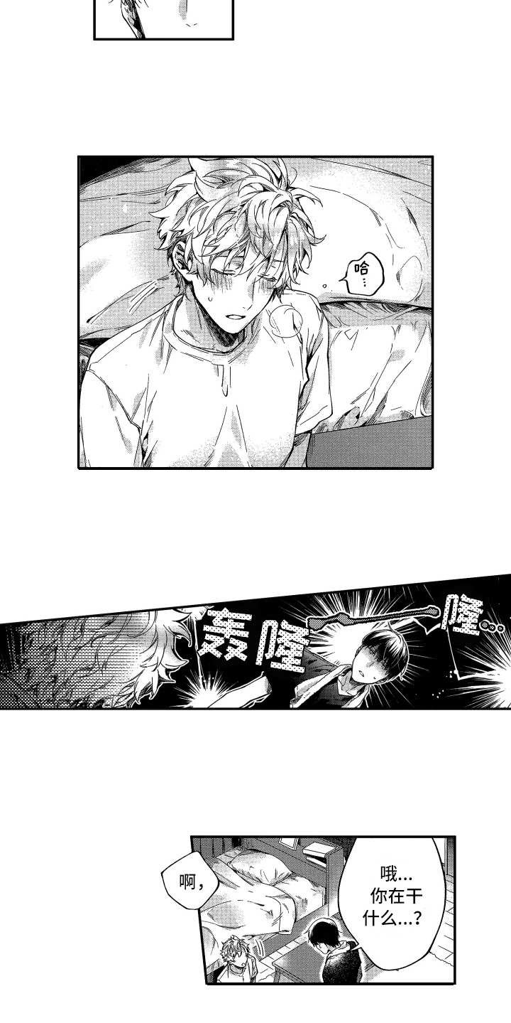 第4章：奇葩