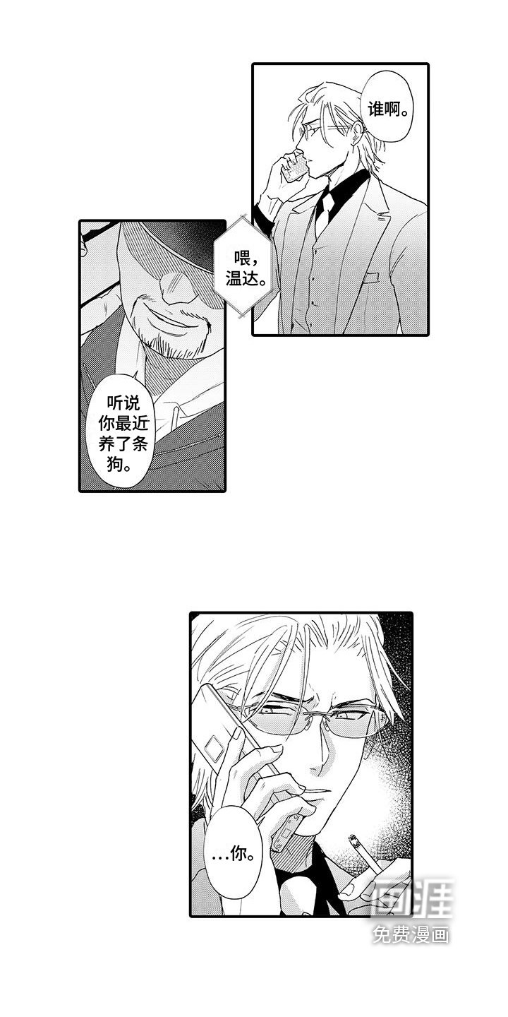 第14章：威胁