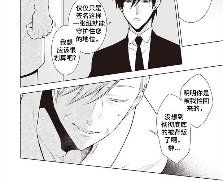 第20章：合约
