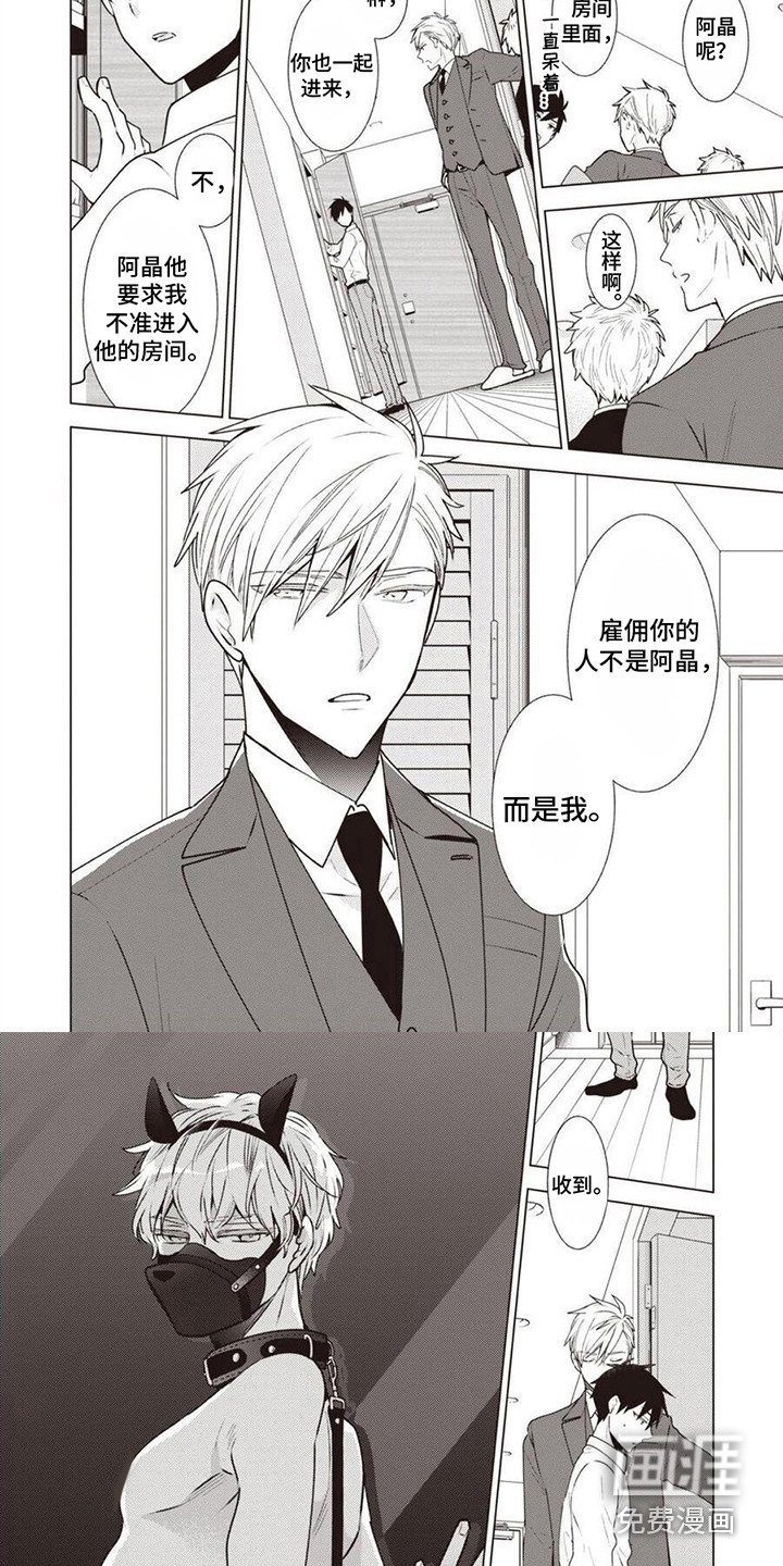 第5章：工作内容