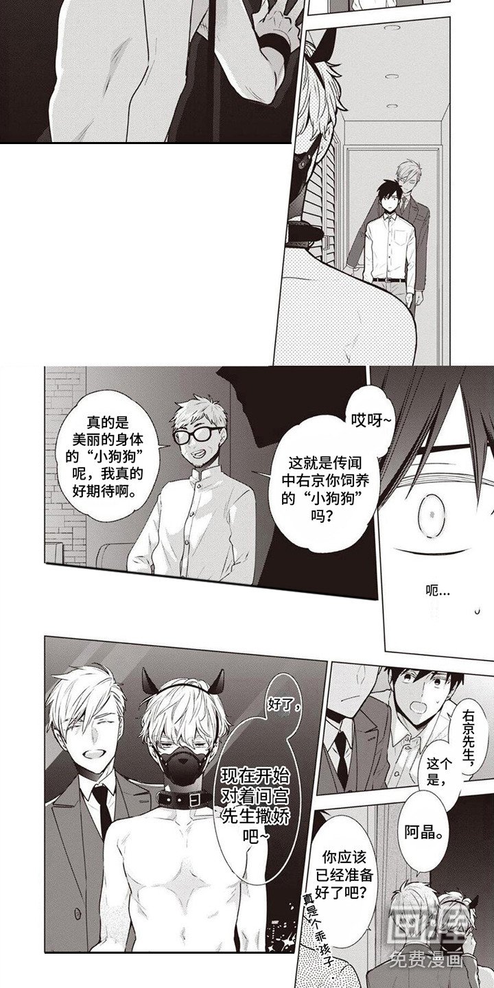 第5章：工作内容