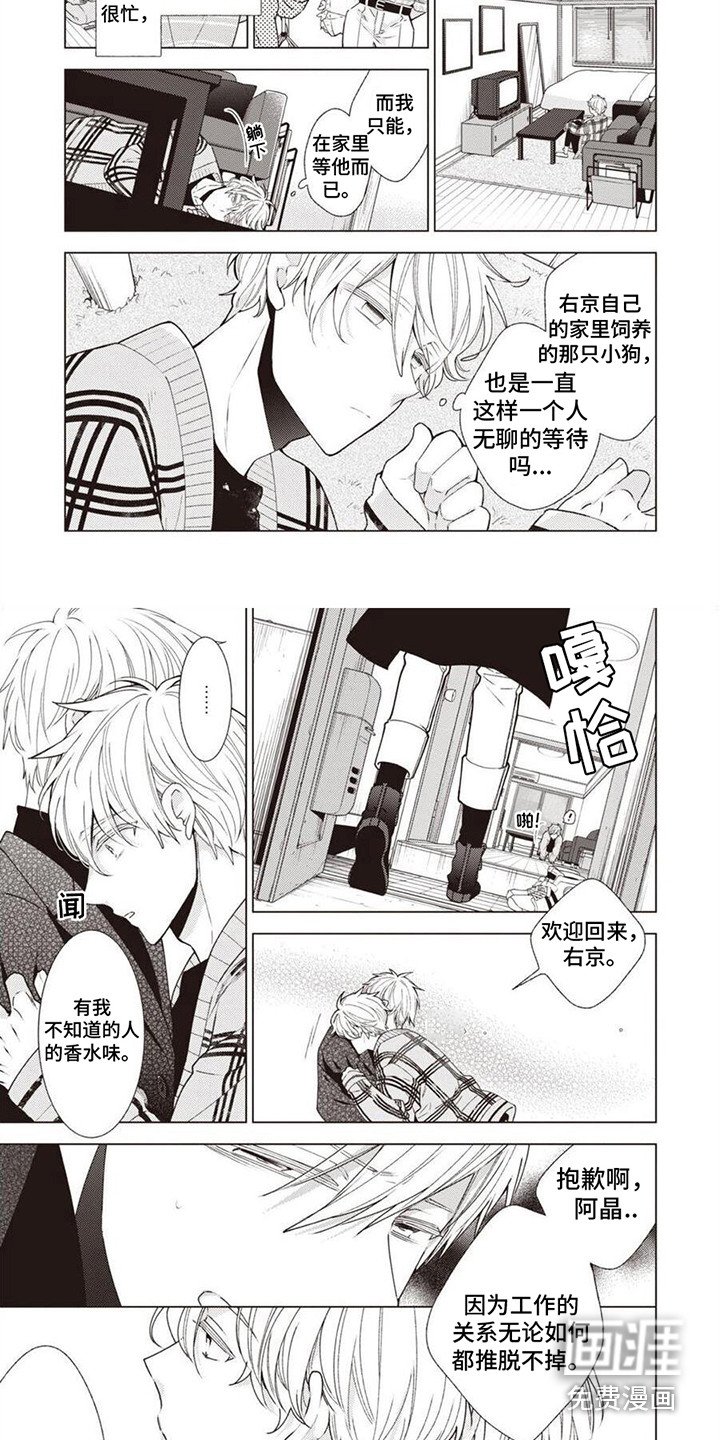 第9章：面罩