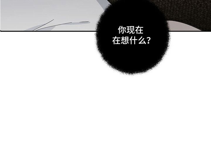 第11章：失去理智