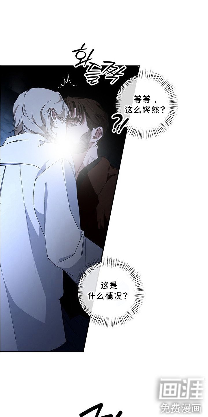 第4章：疯子