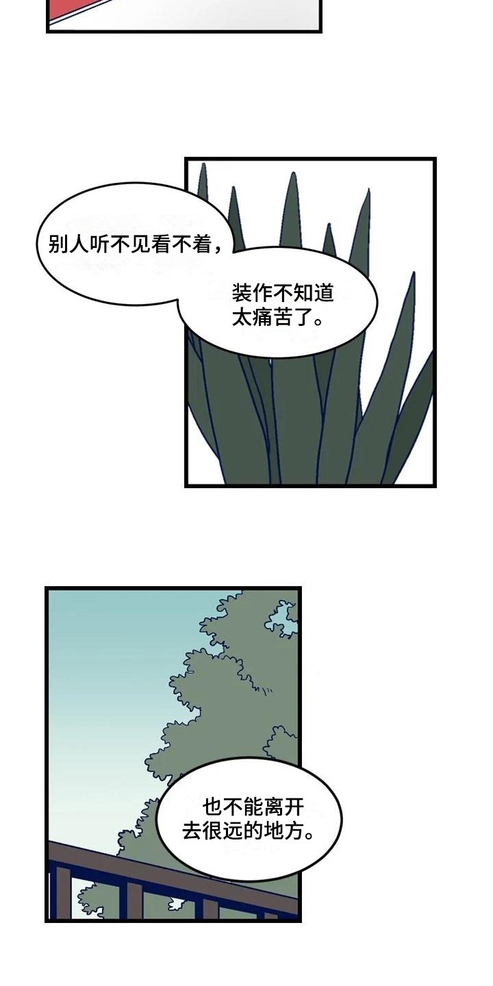 第16章：主要目的