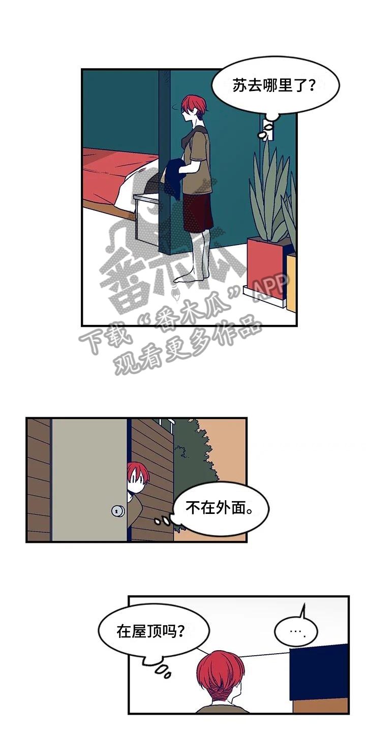 第28章：诅咒