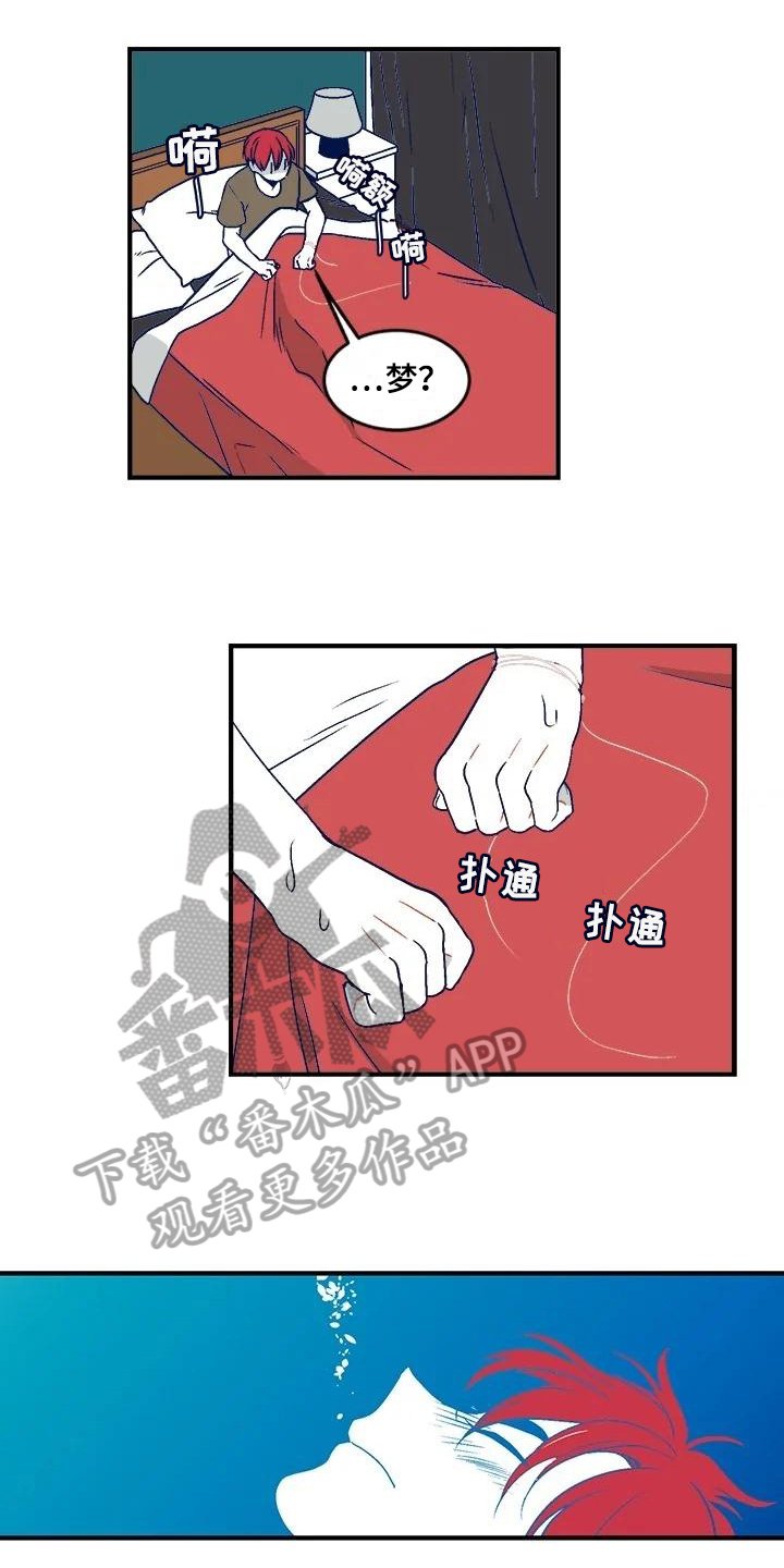 第28章：诅咒
