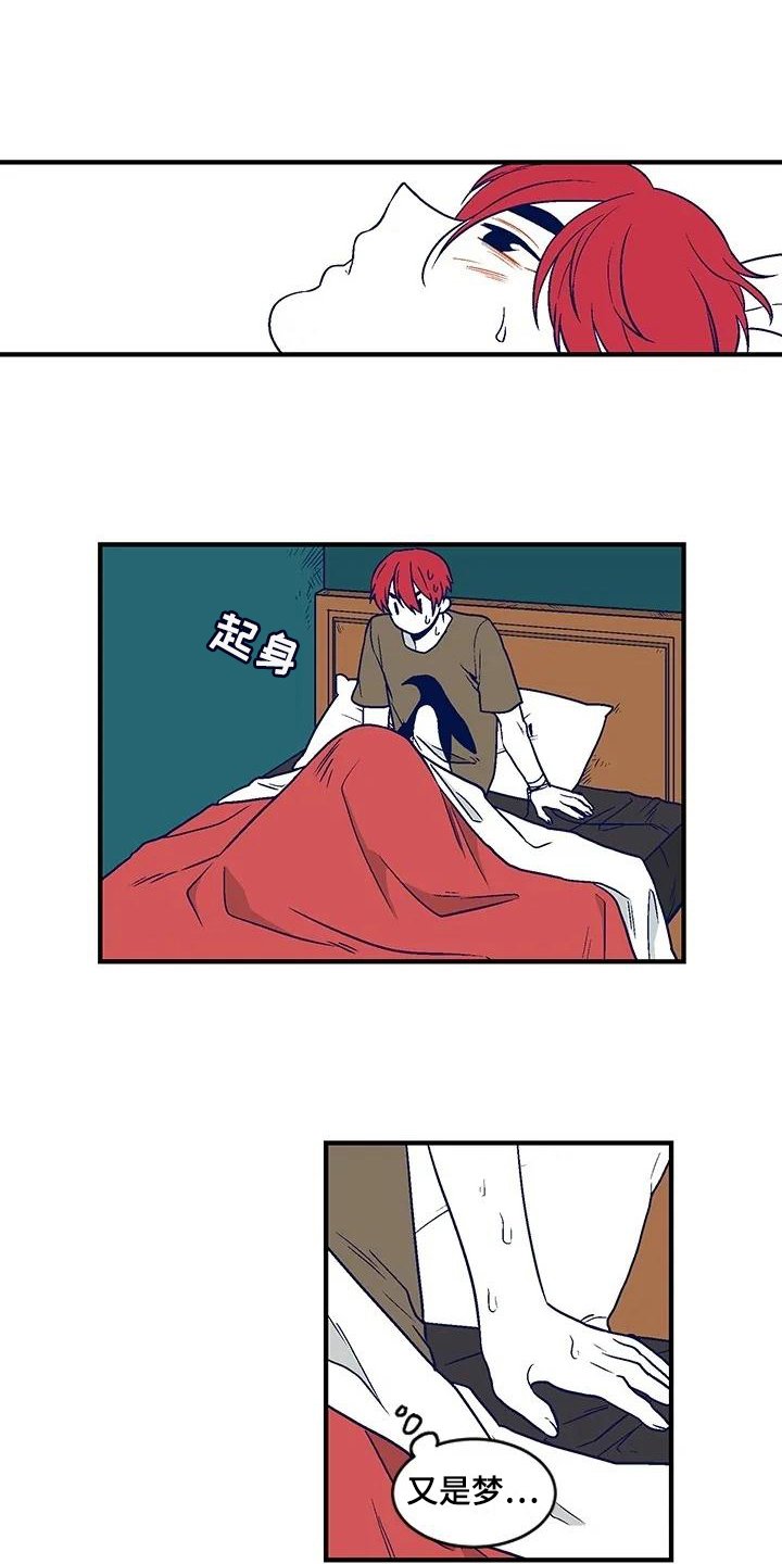 第28章：诅咒