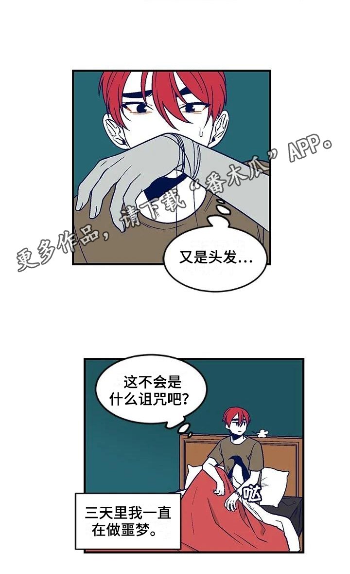 第28章：诅咒