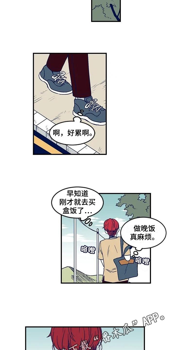 第29章：怪异