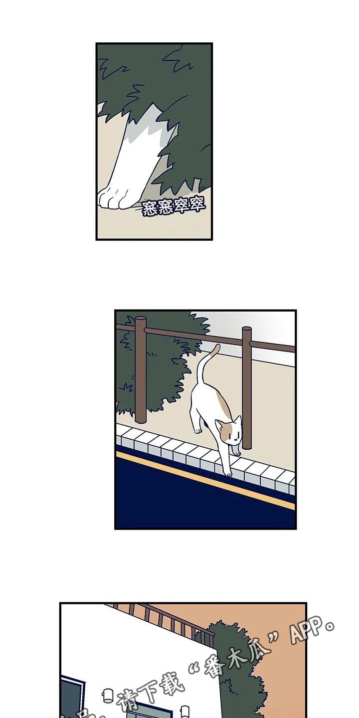 第30章：离家出走