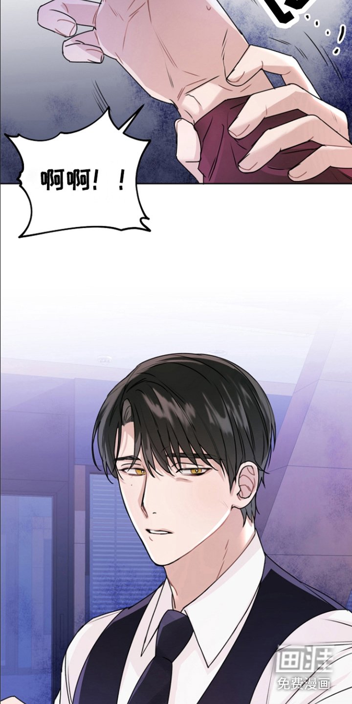 第13章：装可怜 