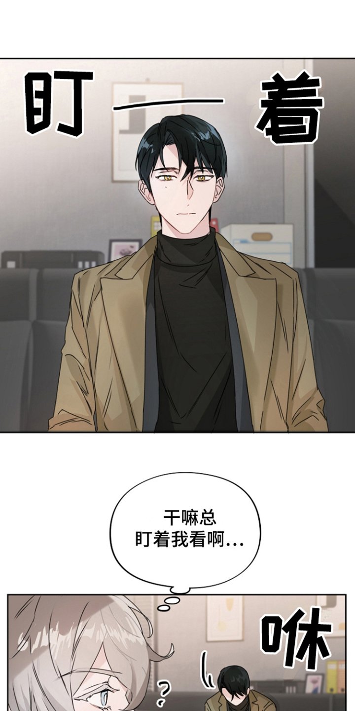 第3章：主演