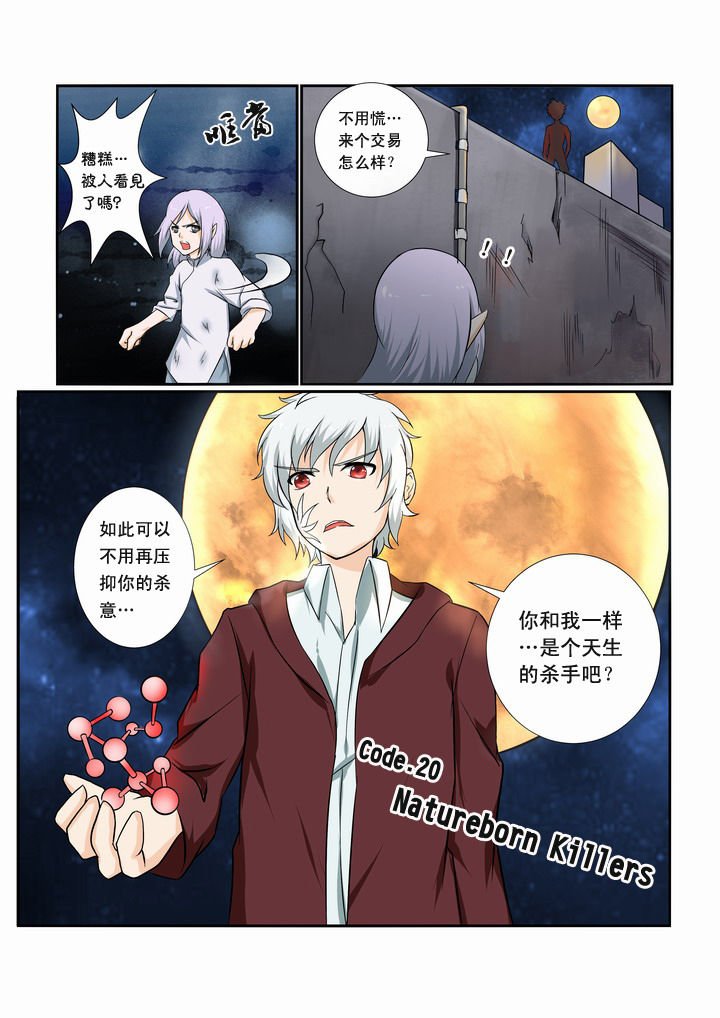 第20章：