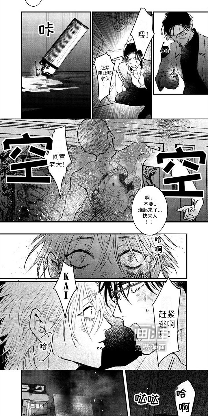 第15章：放火
