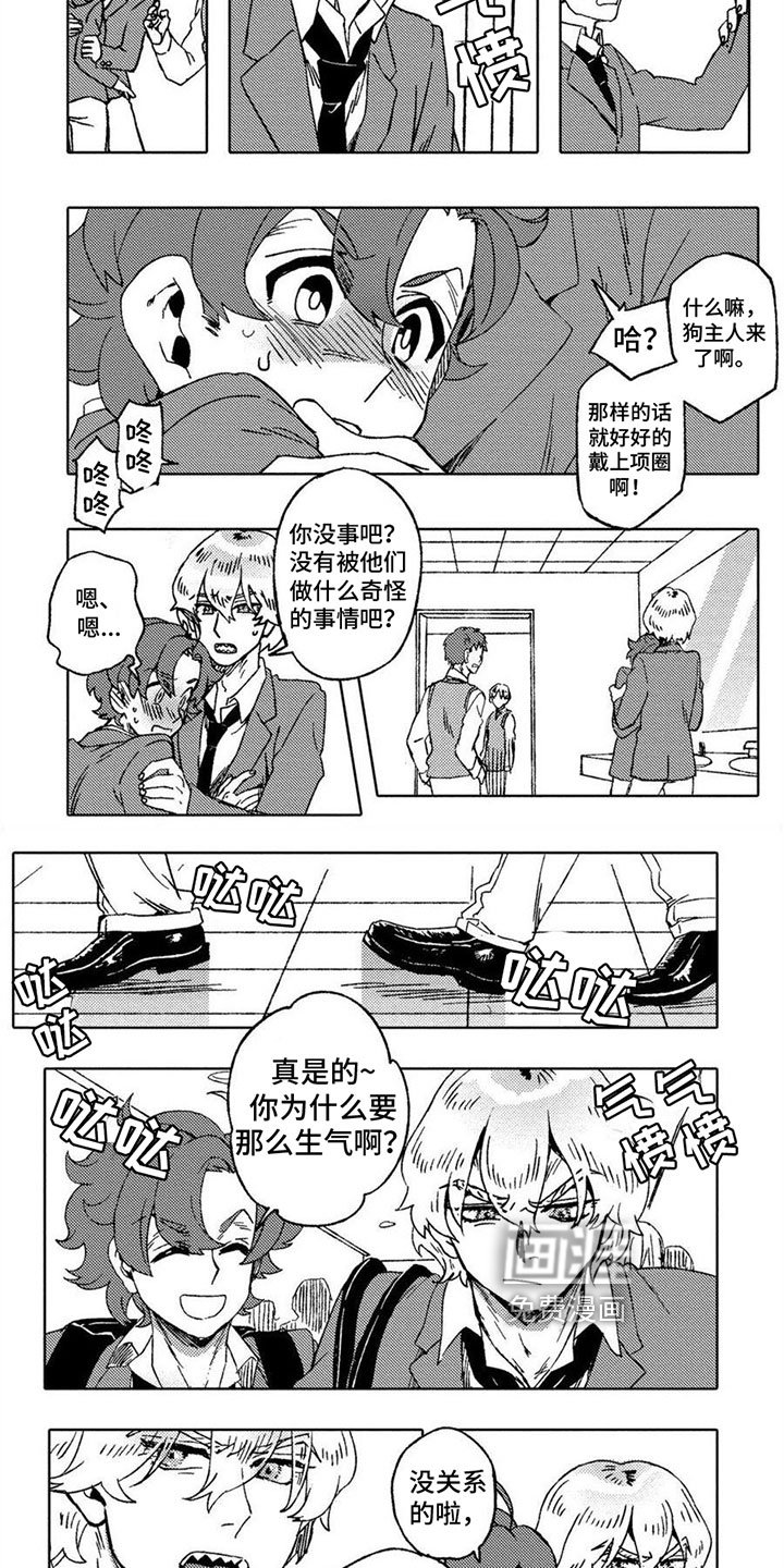 第15章：保护