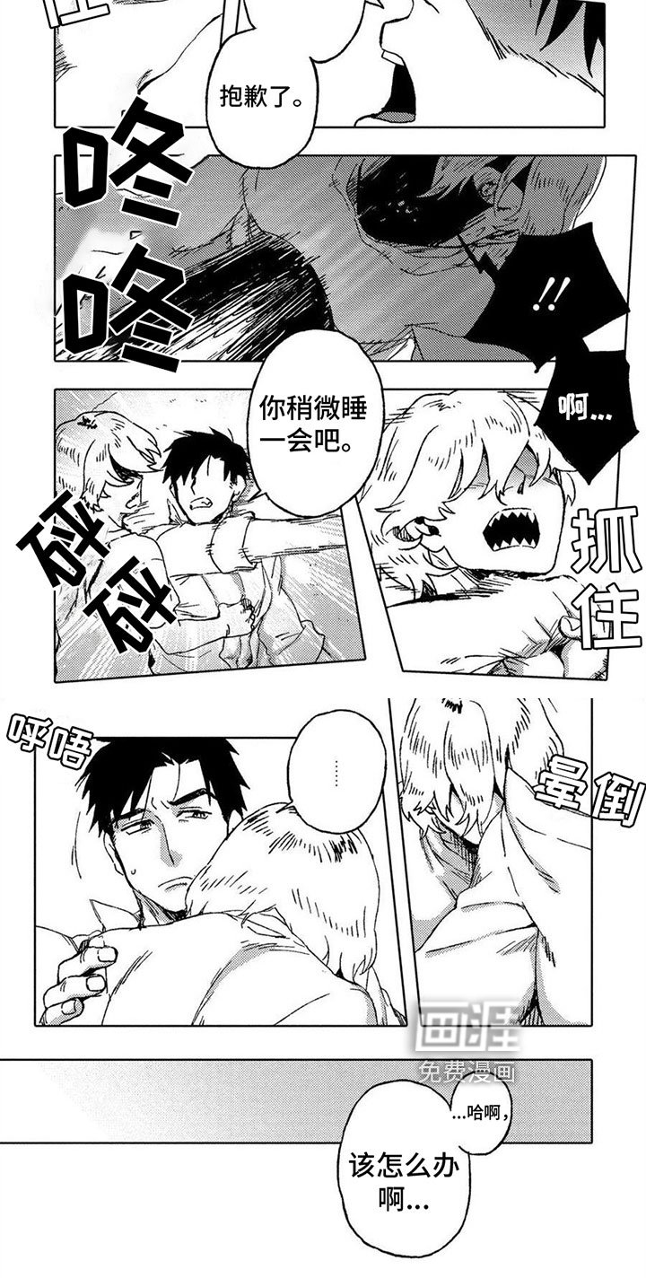 第17章：反击