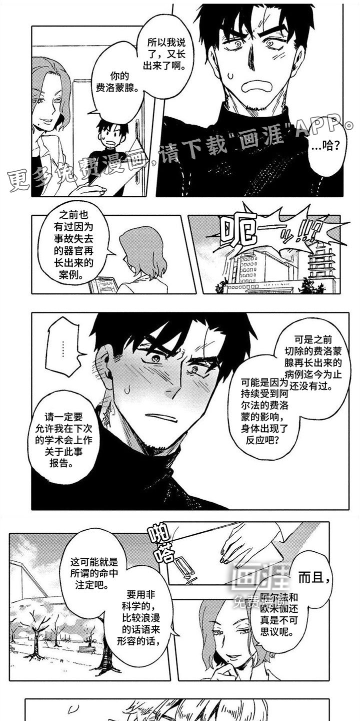 第23章：幸福