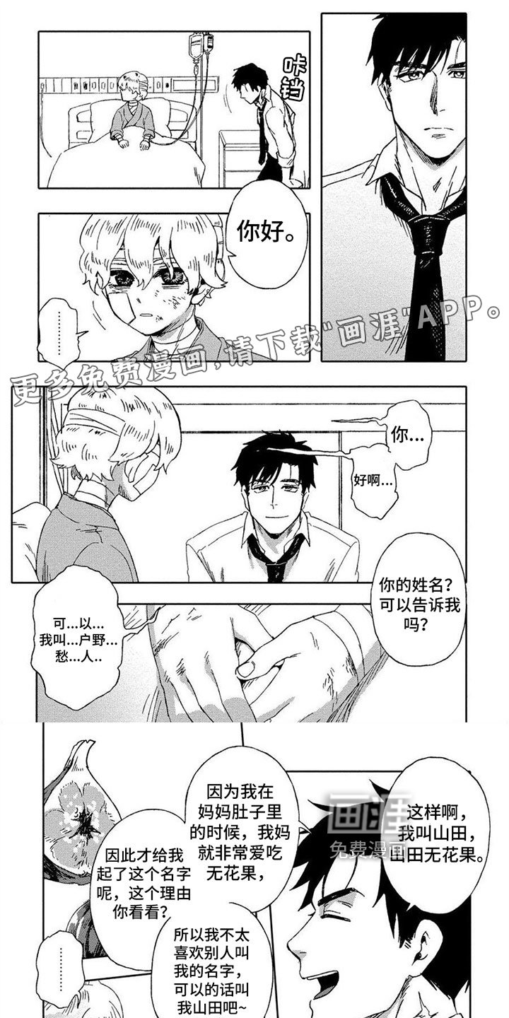 第4章：选择