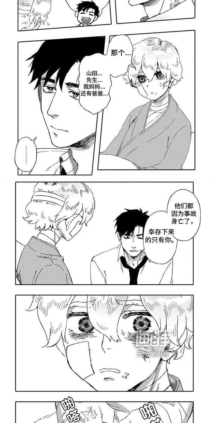 第4章：选择